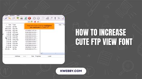 how to increase cute ftp view font